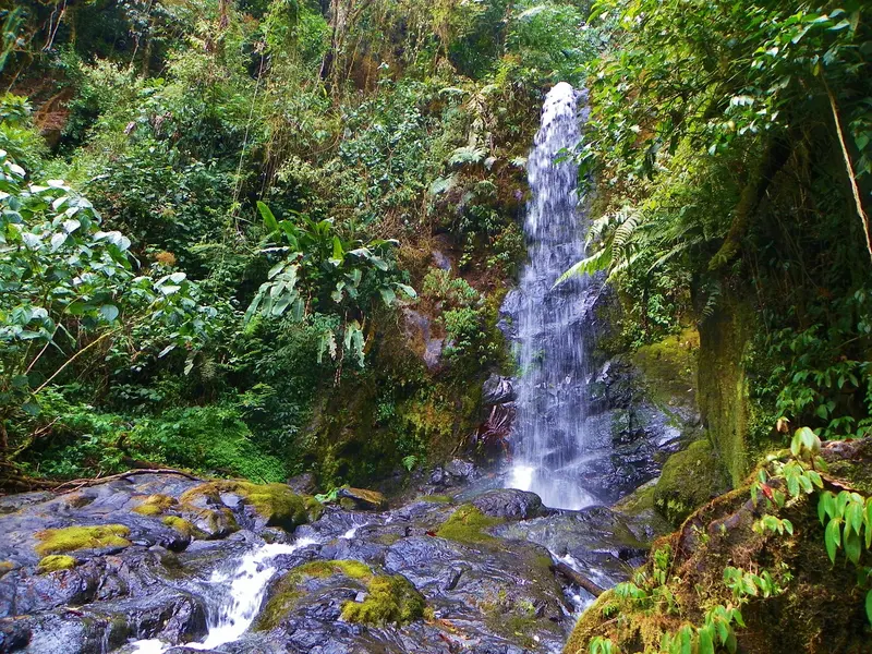 Waterval die tussen varens en bemoste rotsen omlaag stroomt in het regenwoud bij La Fortuna